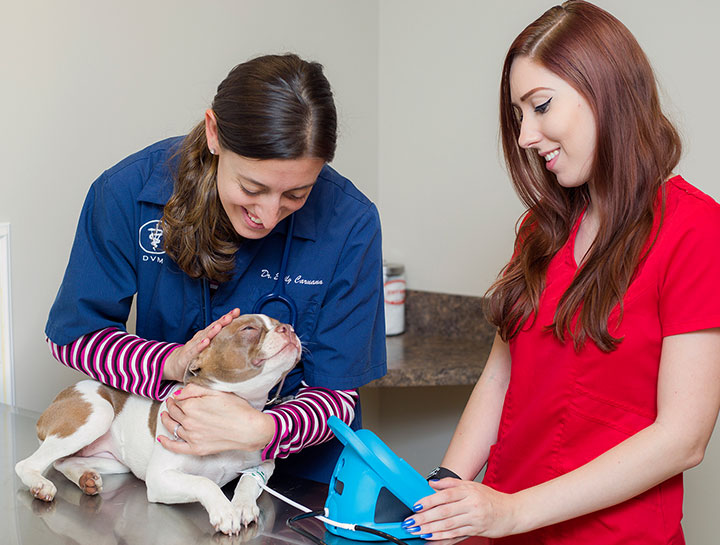 Emergency Veterinary Care